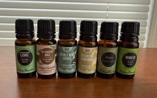 Eden's Garden Essential Oils Holiday Season Mint Cookie Cinnamon Birch Edens