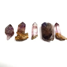 Wholesale Lot of 5 Shangaan Smoky Amethyst Sceptre Chiredzi Zimbabwe zbblot10 