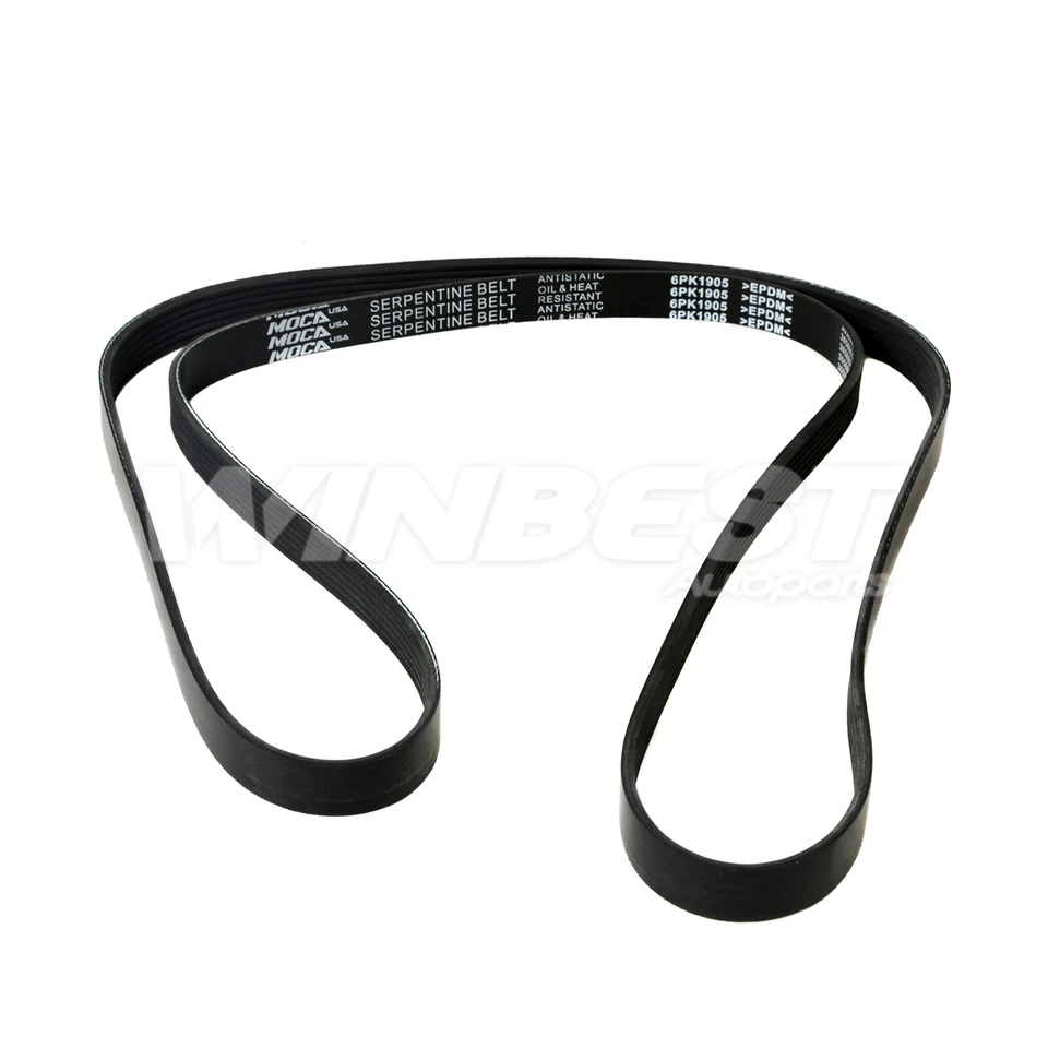 Kit de componentes de cinturón Serpentine para Jeep Wrangler 2000-2006 4,0 L L6 GAS OHV nuevo Foto 3 de 4