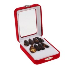 Médiators pour guzheng (cithare chinoise) - Accessoires pour