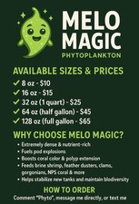 LIVE Phytoplankton Premium Reef Blend - FAST SHIP 
