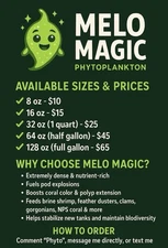 LIVE Phytoplankton Premium Reef Blend - FAST SHIP!