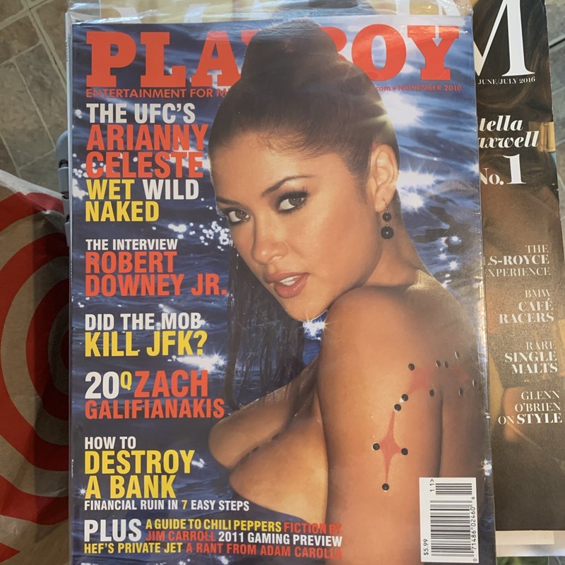 Playboy Magazine November 2010