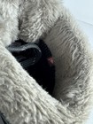 Bild 7 von 12