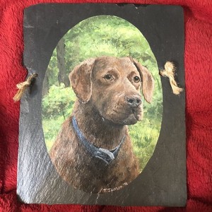 Chesapeake Bay Retriever Portrait Painted on Slate 8” X 10”