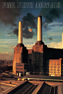 Pink Floyd - Music Poster (Animals - Album Cover) (Size: 24'' x 36'')
