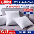 <!--F#f_0-->2 European Cushion Pillow Inserts 65 x 65 cm White Cushions 850 grams each New<!--F/-->