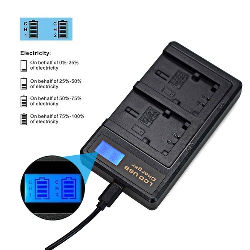 2X NP-FH50 Battery + charger For Sony HandyCam DCR-SR45 DCR-SR47 DCR-SR200 HC52 - Picture 6 of 9