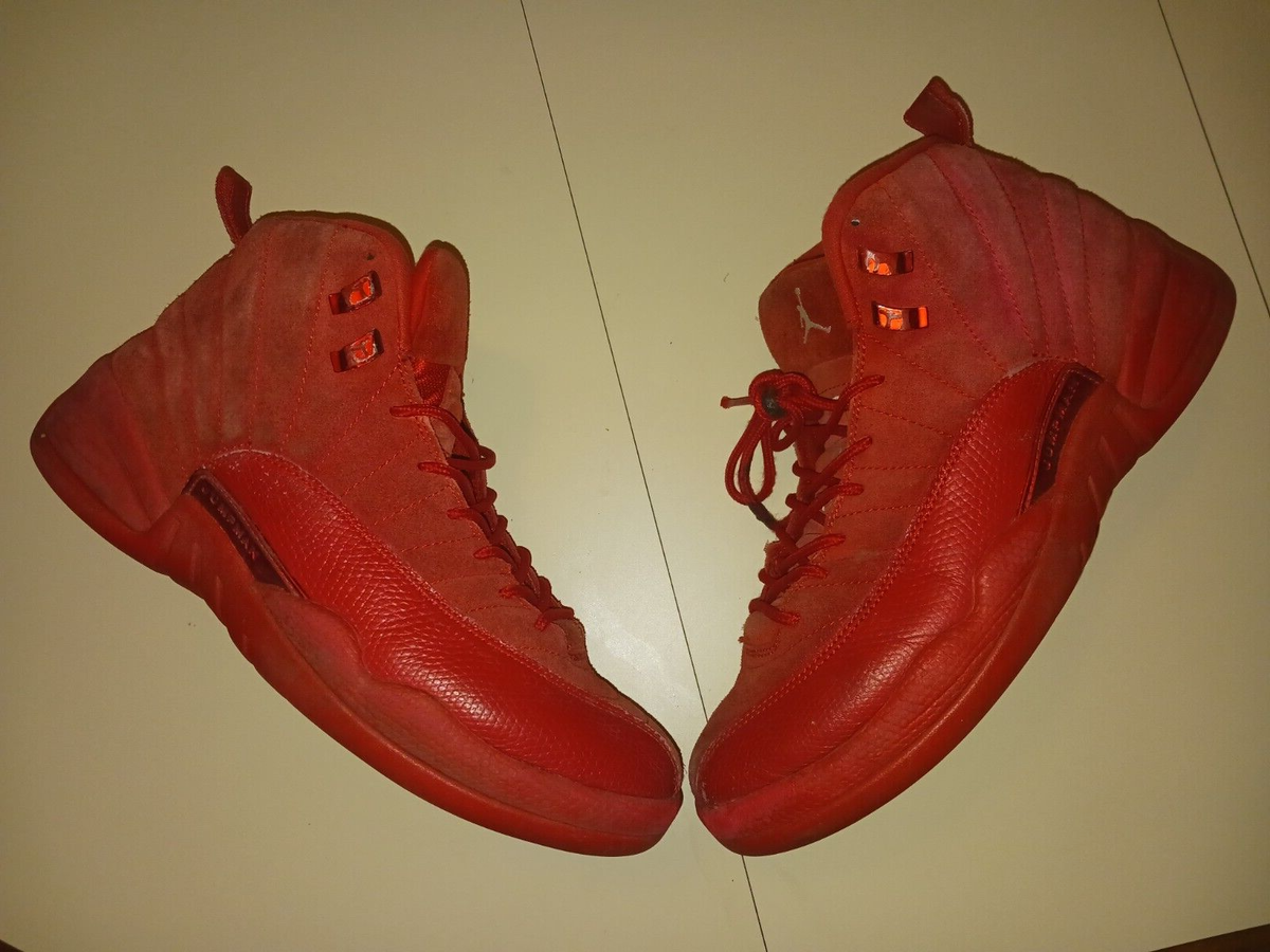 Size 10 SAMPLE PAIR Nike Air Jordan 12 Retro Gym Red DBOM 130690