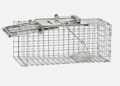 Havahart 1083 Small 1-Door Easy Set Live Animal Trap for Squirrel Rabbit  Catch