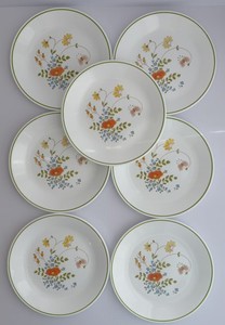 Corelle By Corning Wildflower 8 1/2" Salad Luncheon Plates - Set of 7! See Pics