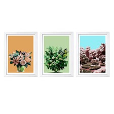 Designs ByLITA Botanical Beauty Set 3 Pack , Wall Print Art Home Decor