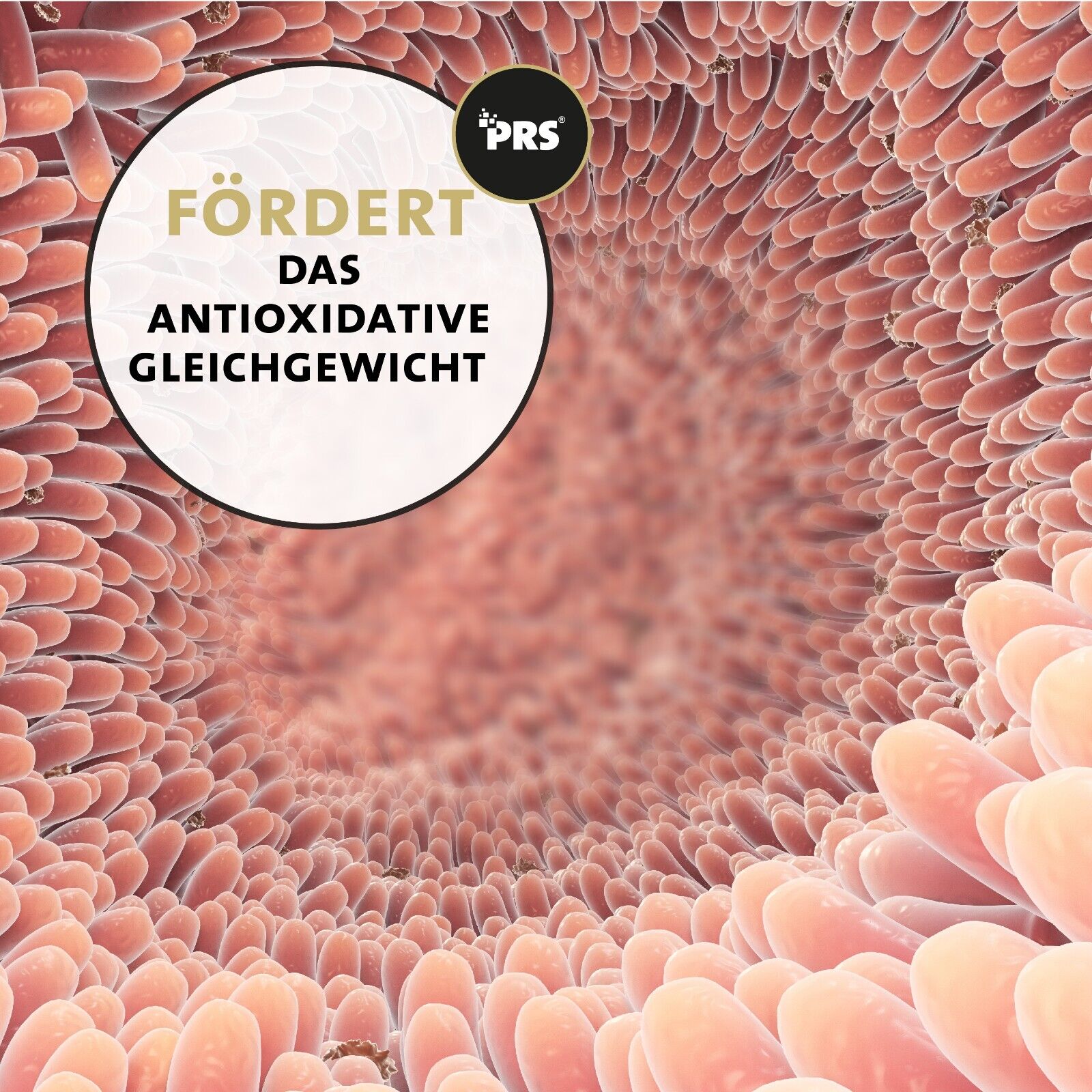 Bild 6 von 7