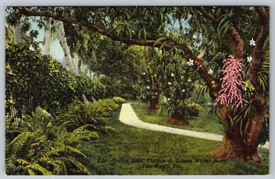 c1940s Edison Estate Ft Myers FL Mango Trees Orchids Postcard