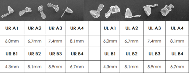 Pedo Strip Crown Form Kit - Stampi Per Corone Odontopediatriche - Foto 14