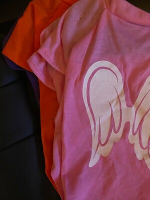 Medium Pet Dog Puppy Shirt Clothes Apparel Halloween Angel Christmas T-Shirt