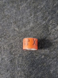 Old Vintage Racing Pigeon Ring Gb90x