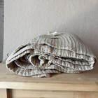 Bild 5 von 9