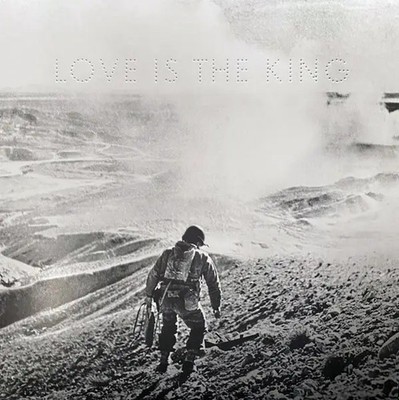 Jeff Tweedy Love Is The King CLEAR VINYL NEAR MINT dBpm Records Vinyl LP