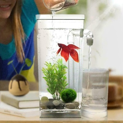 self cleaning fish