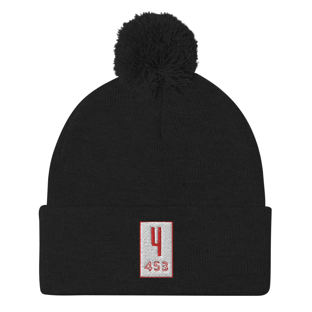 Cozy Winter Beanie with Pom-Pom Alt Style 453-image
