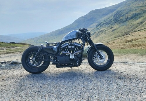 Harley Davidson 48 1200cc Custom Low Miles 2014 Decat 💥 - Picture 9 of 11