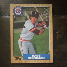 Topps 1987 Dave Bergman #700 Detroit Tigers MLB Baseball Card