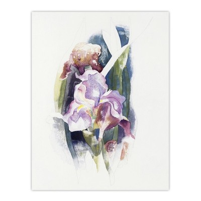 Lila Iris Blume Aquarell Demuth Wandbild Poster Druck