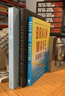Make It Stick: The Science of Successful, Designing The Mind & Brain Wave Vib.