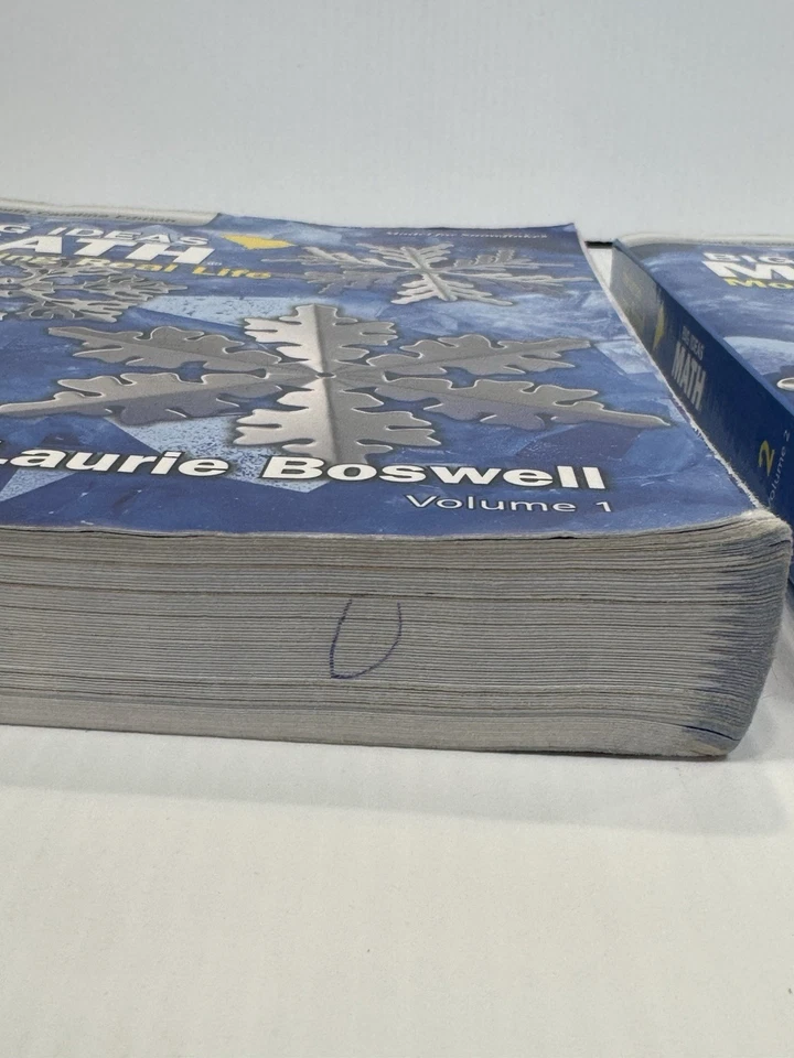 Big Ideas Math: Modeling Real Life South Carolina - Image 4 of 4