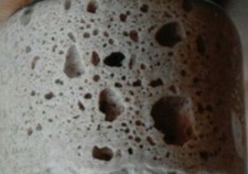 sourdough starter from san francisco wharf  bonanza special wharf