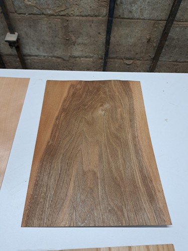 Wood Veneer Sample Pack - 10 PIECES 300mm x 210mm - for marquetry - Pack 156 - Picture 6 of 12