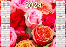 calendrier 2026 fleur rose poster affiche plastifiée 30 x 40 cm réf 221