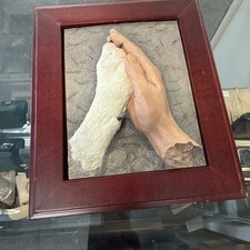 Pets Ashes Storage Box