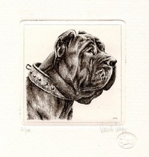 NEAPOLITAN MASTIFF DOG FINE ART LIMITED EDITION ENGRAVED PRINT - Italian Artist