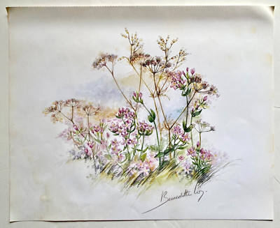 Vintage 1985 Art Print Pink Wild Flowers Bernadette Voz Artist Flower Stem Leaf