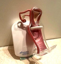 Vaginal Uterine Anatomical Display Model -Annovera/Contraceptive Salesman Sample