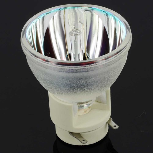 BL-FP240B Bare Lamp for Projector 