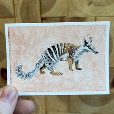 Dipinto originale ACEO, carta da collezione artista, Numbat di carlaowencreations