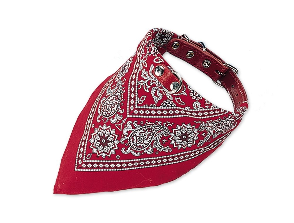 Collier avec foulard pour chien rouge 55 cm avec bandana amovible en nylon doux