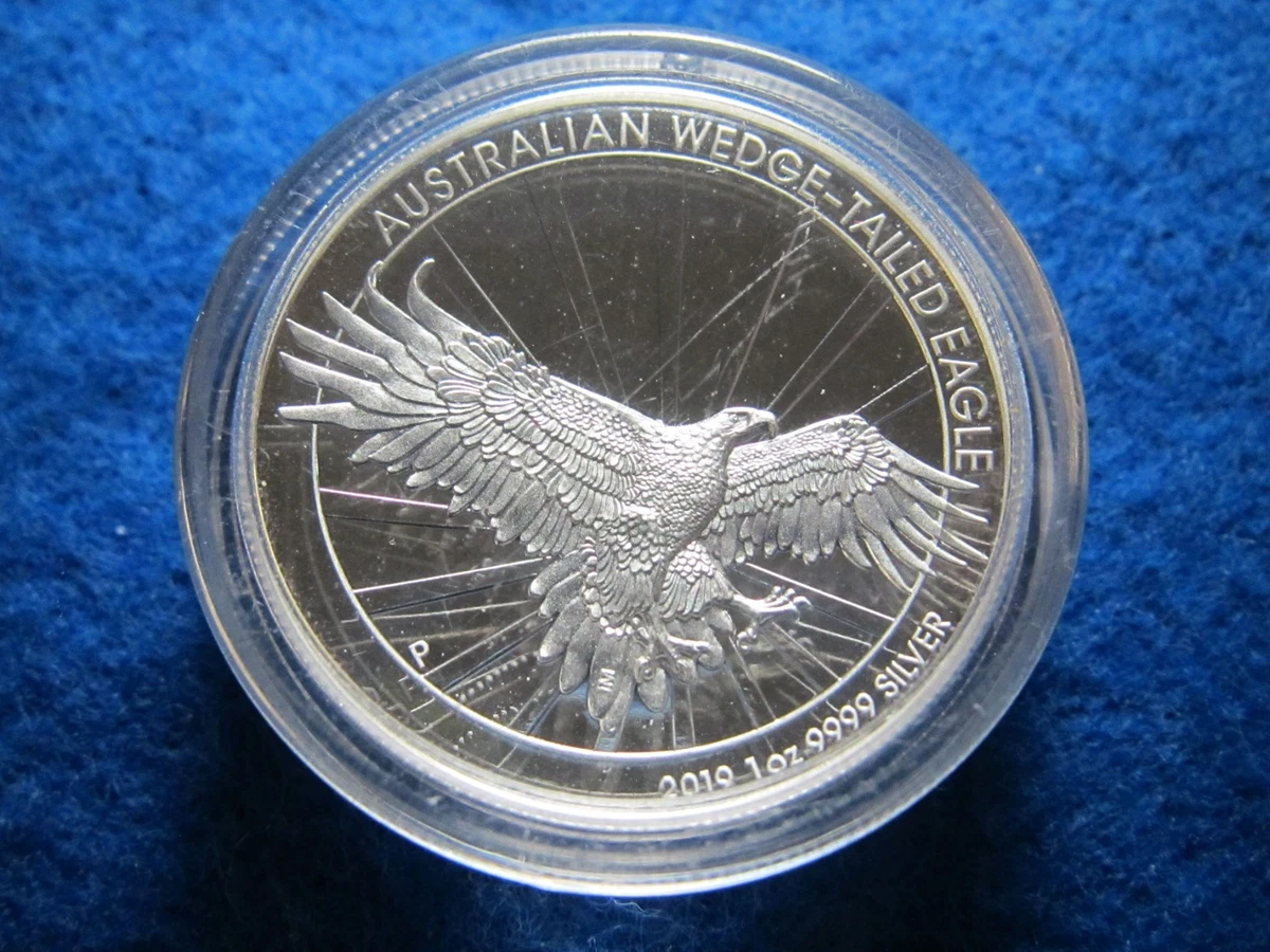 Wedge Tailed Eagle for sale | eBay