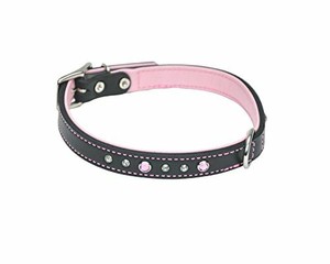 circle t dog collar