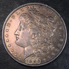 1896 Morgan Dollar - High Quality Scans #Q382
