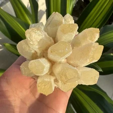 290g New find Yellow Phantom Quartz Crystal Cluster Mineral Specimen Gem