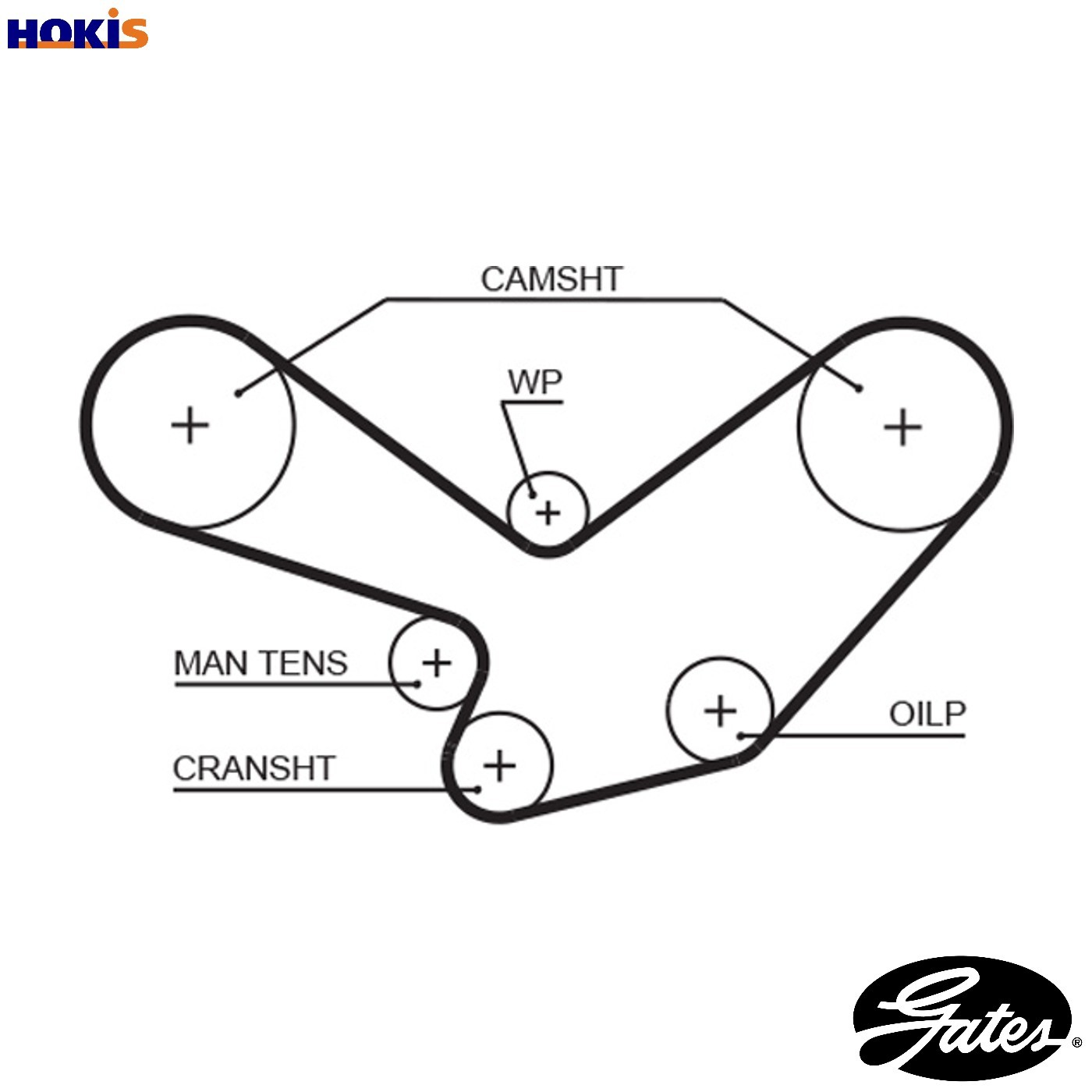 Genuine Gates Timing Belt - 5096 - Image 16