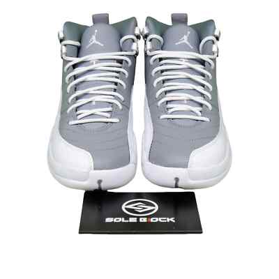 Nike Air Jordan 12 Retro Stealth CT8013-015 | eBay
