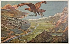 MVSN MILIZIA NAZIONALE FORESTALE IIa LEGIONE RAMAZZOTTI CARTOLINA CC.NN. PNF