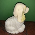 Foto 4 di 14