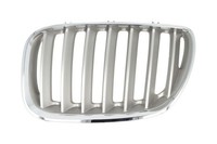 Blic 6502-07-0095997P KüHlergrill FüR Bmw