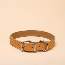 Rosewood x Joules Tan Dog Collar, Large – Durable Leather and Webbing Detail,